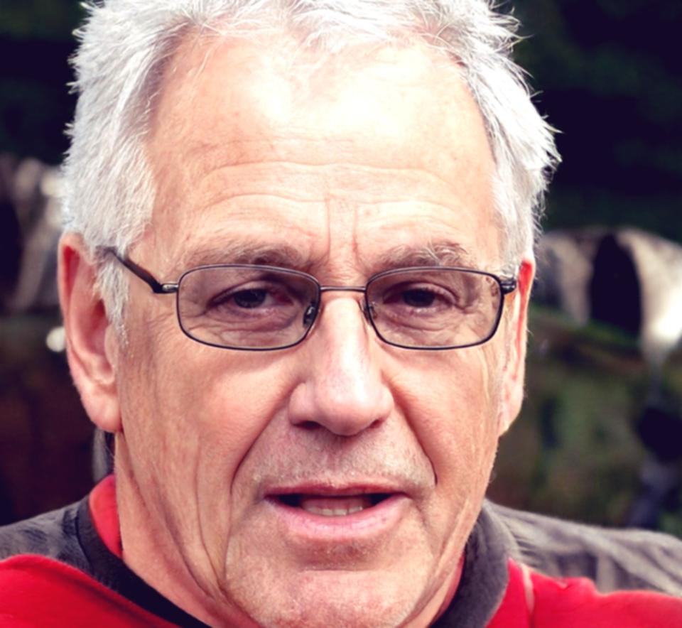 Branimir Horvat portrait